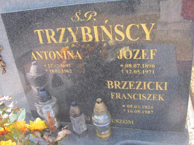 Antonina Trzybińska 1897 Moryń - Grobonet - Wyszukiwarka osób pochowanych