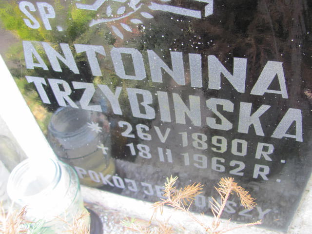 Antonina Trzybińska 1890 Moryń - Grobonet - Wyszukiwarka osób pochowanych