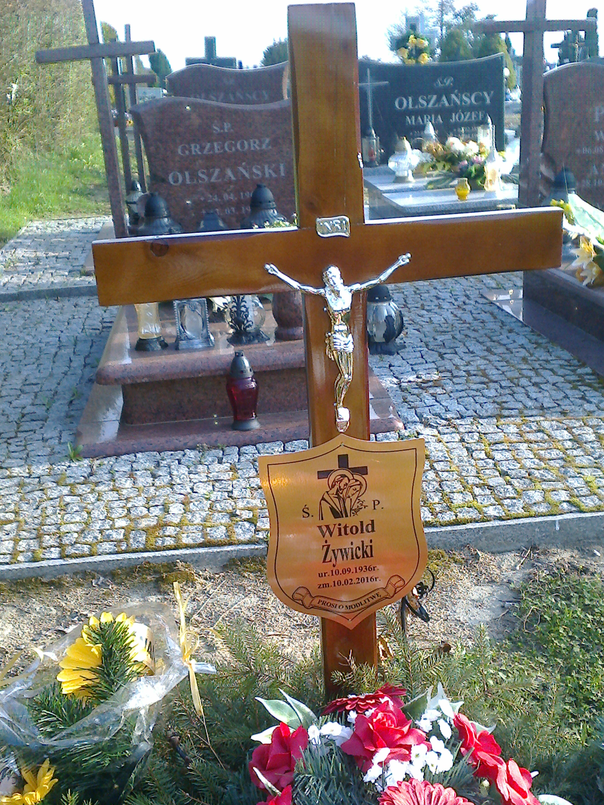 Witold Żywicki 1936 Moryń - Grobonet - Wyszukiwarka osób pochowanych