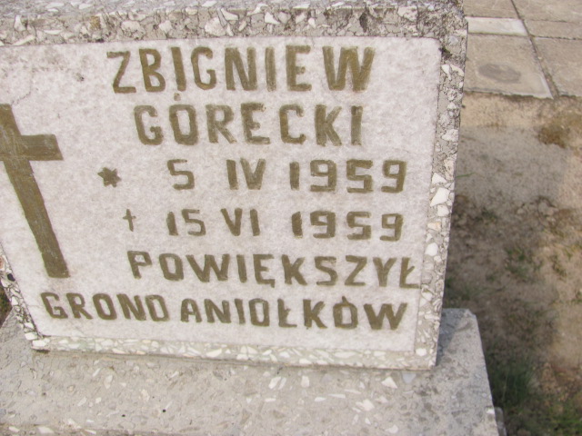 Zbigniew Górecki 1959 Moryń - Grobonet - Wyszukiwarka osób pochowanych